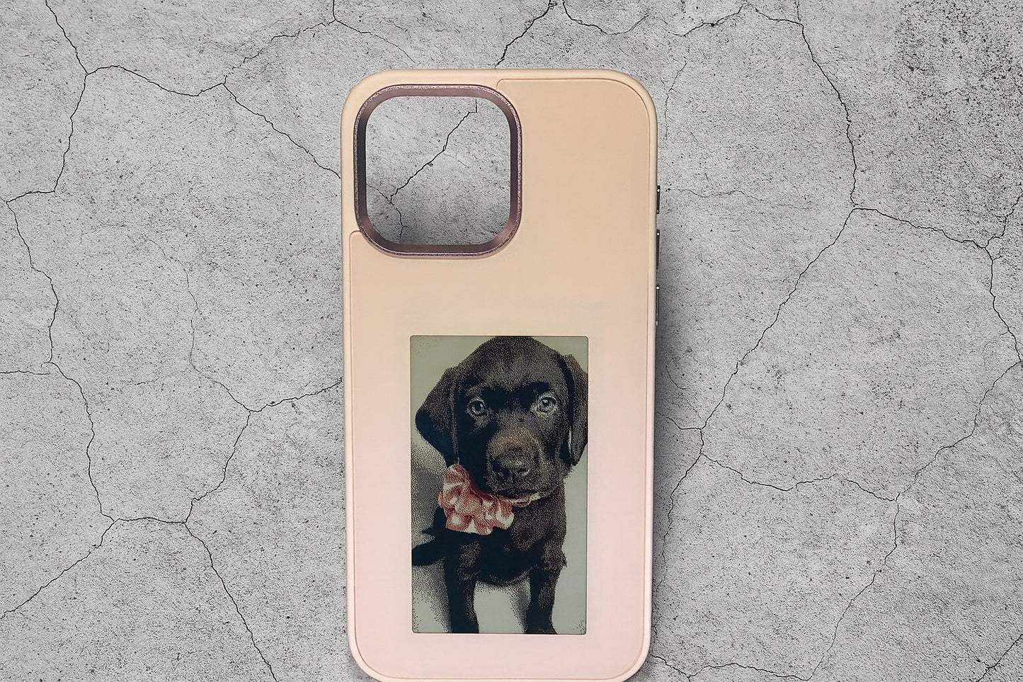Versa Case